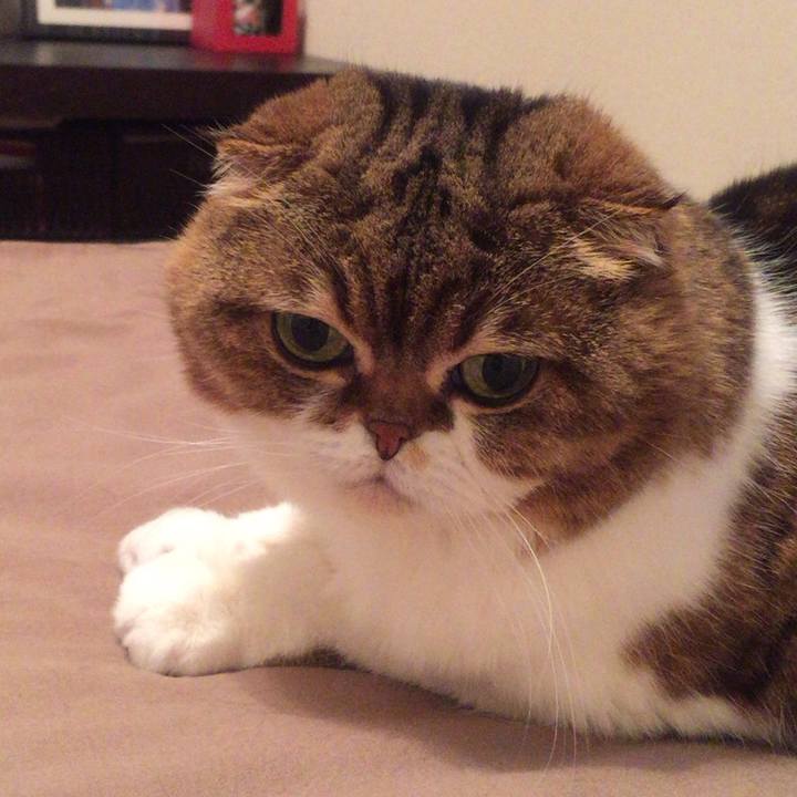 7e959674 54f6 41f5 a212 08a7ad385f22