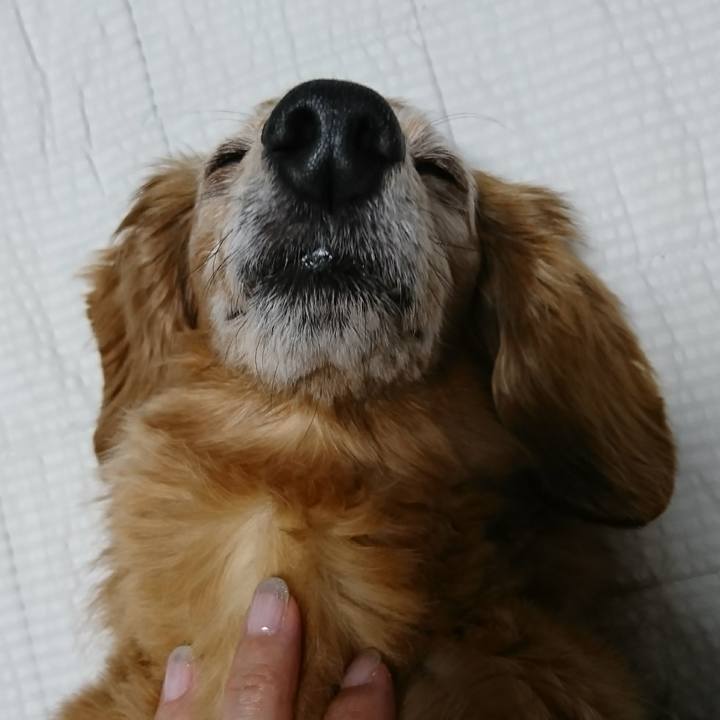 7e95ad47 09bf 44f7 885c e0b9aa441349