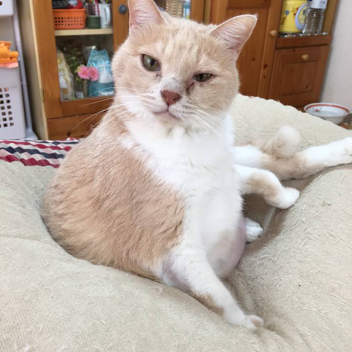 7e960731 dfff 47e8 9c60 30bab9946ad5