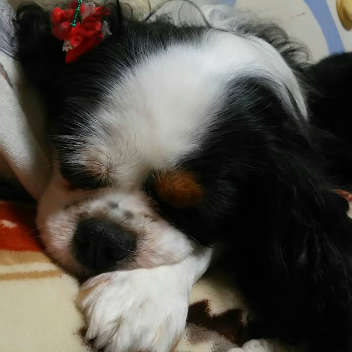 7e974077 42da 4677 80dd 98207a70a2bc