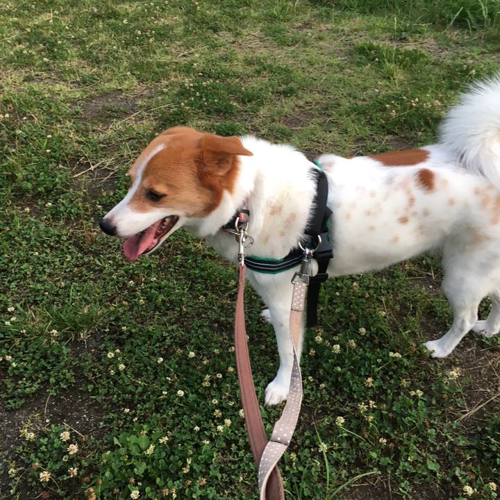 7e97c5f7 a6a7 4d7d 99ac aa1bf6fb7959