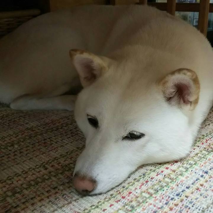 7e97cf81 8672 45f7 9aa2 9a53958e6cb4