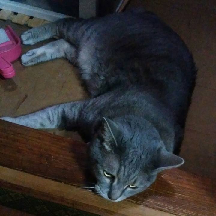 7e98031c acea 41ee 8542 997c23e6a4a5