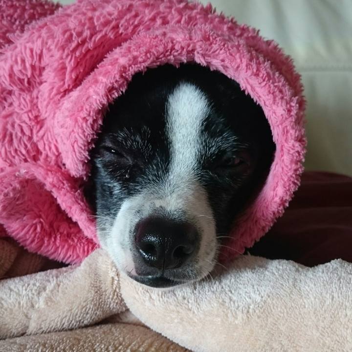 7e986555 eaad 4c85 a625 9afc611fbe2a