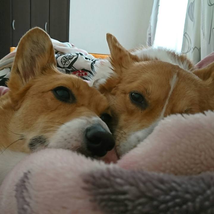 7e98f941 1ba7 4d15 ae2c 1b478095ae94