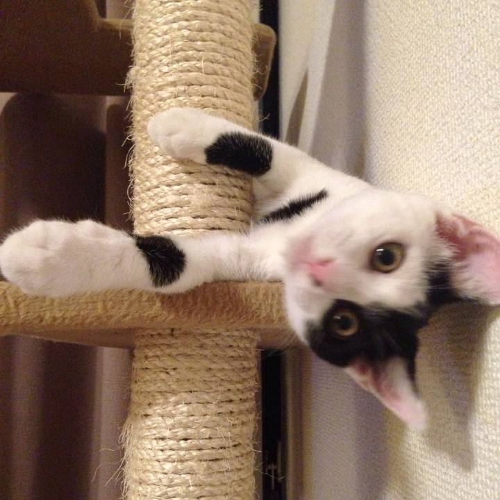 7e99cddd f61a 4af2 be62 cede5c39d64f