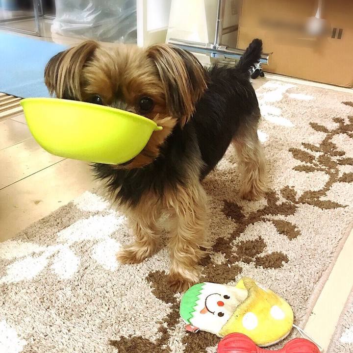 7e9a3e9b b0bc 46d2 907e 1023bca463fd