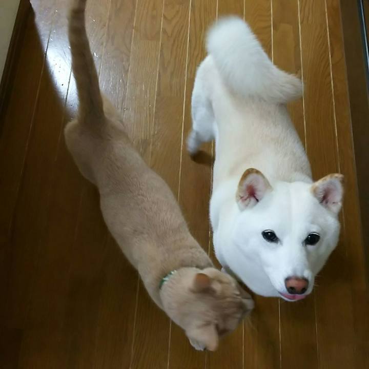 7e9a4764 1872 4d33 8cf6 f574767a730d