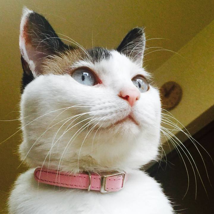 7e9ab03a 4303 402e b95d 811184d61d6d