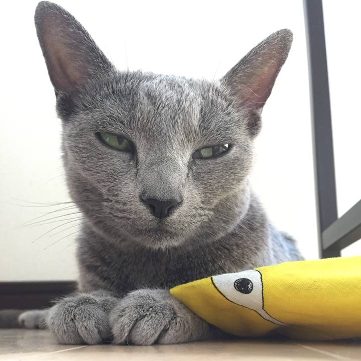 7e9b5160 8094 4d18 acc4 b78c6ababfd4