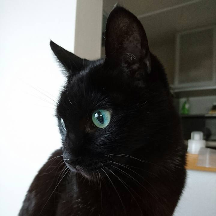 7e9b99f1 3793 4758 ba2f a3c953dbdb37