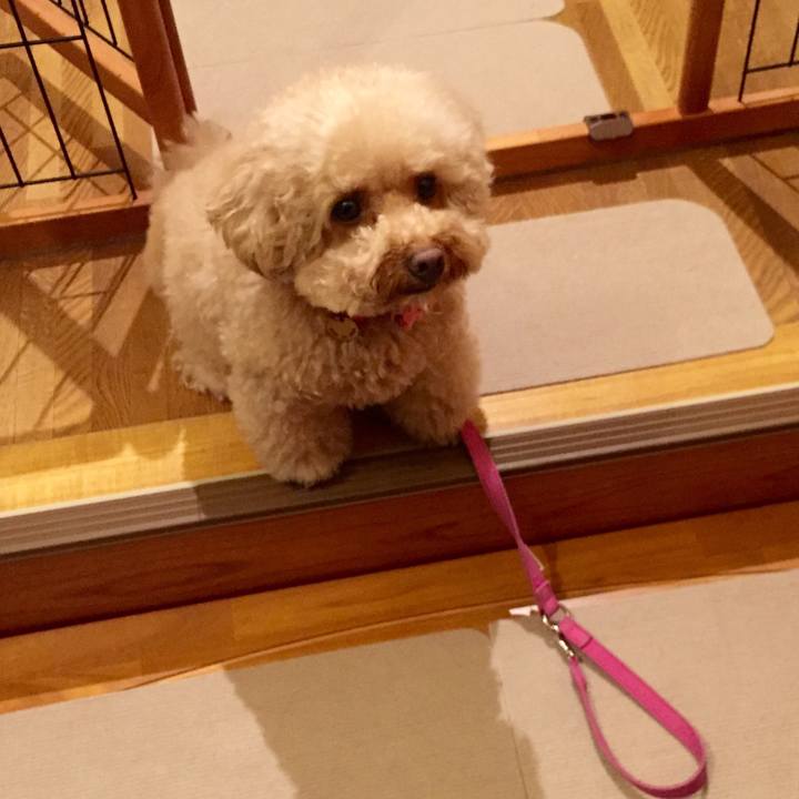 7e9be5f0 0c90 4e06 b074 88f451ee2b5d