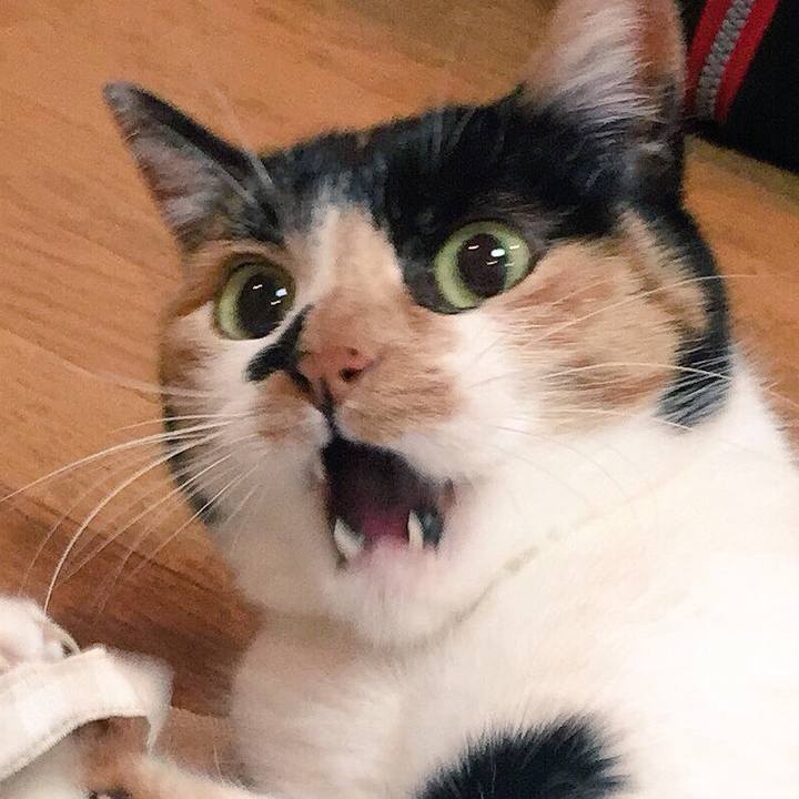 7e9c7d9f bcde 4738 84b6 8fda512fa7e0