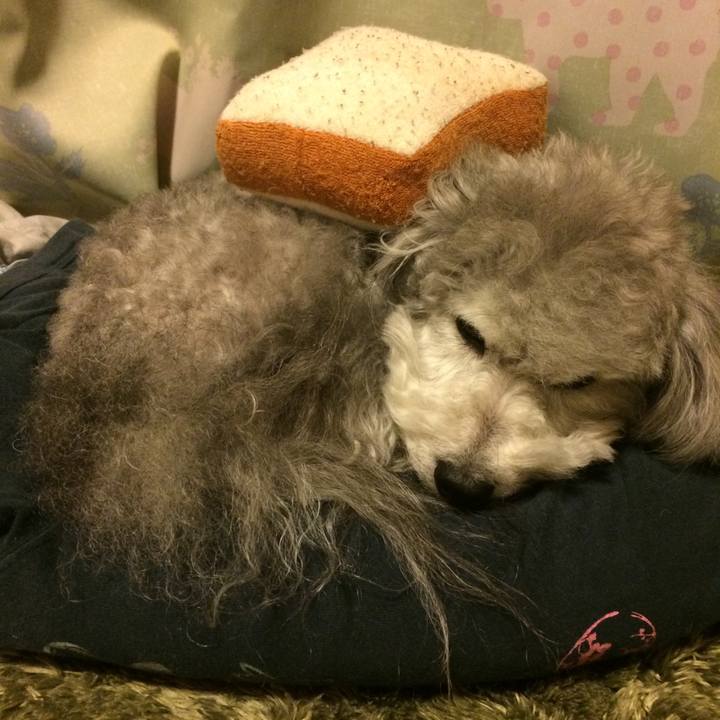 7e9c9bd9 d7de 46b2 ad15 e9963e199887