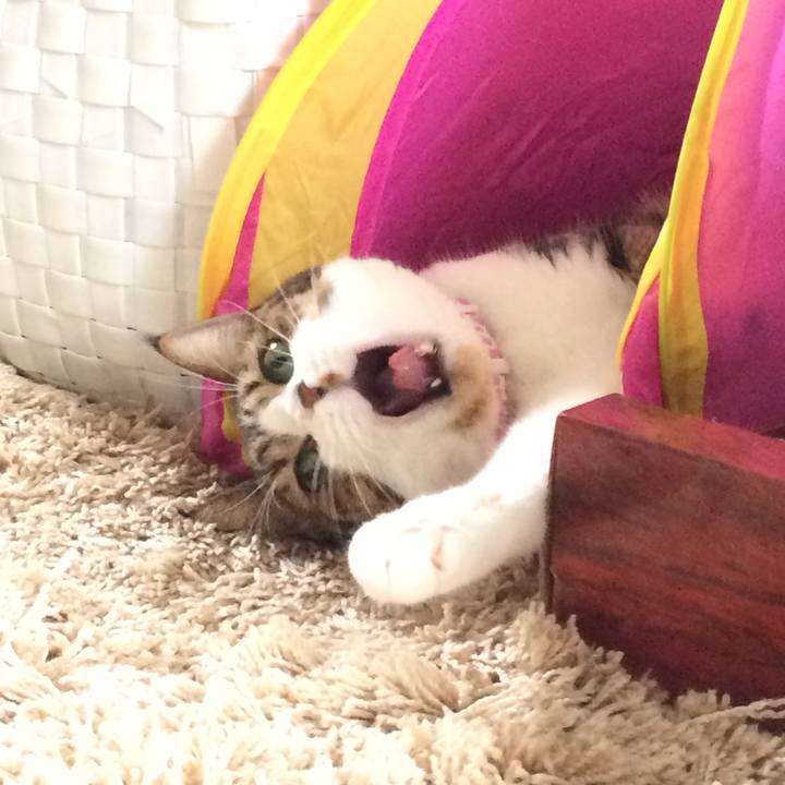 7e9cbcc5 062a 4c9e 9050 1cbd09d9d060