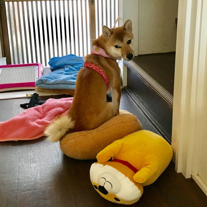 7e9ccafd 9846 455e 8dd6 e6e59608ca06