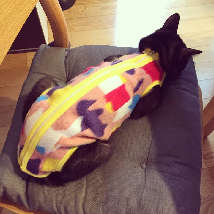 7e9dd482 d156 4903 ab82 b62f5d3231e8