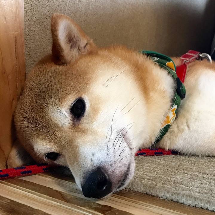 7e9e74a2 db25 433e a98f ef13a2f7721d