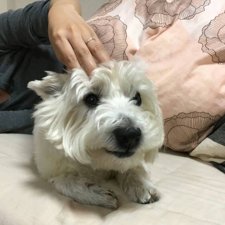 7e9fc5c0 ea97 41c8 a859 08130eae1e9a