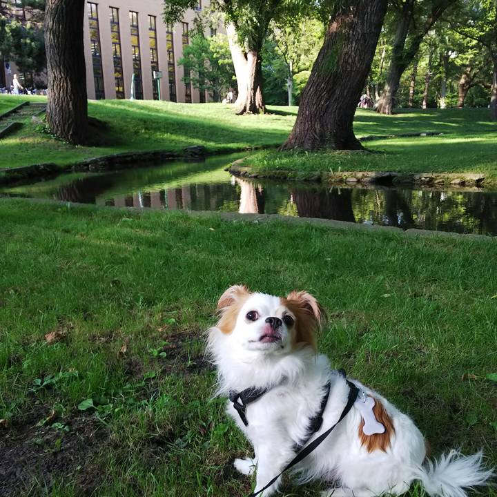 7ea07b29 2e95 443e 9d49 2e901c3f7772