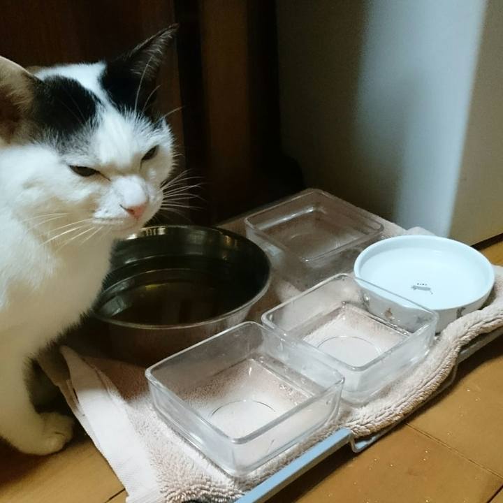 7ea0aae4 73ef 40d8 92a1 92f6940f03ac