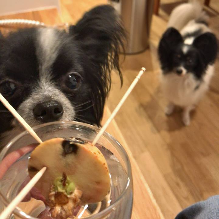 7ea0c47f f48e 4d10 923b bf9cc213cbae