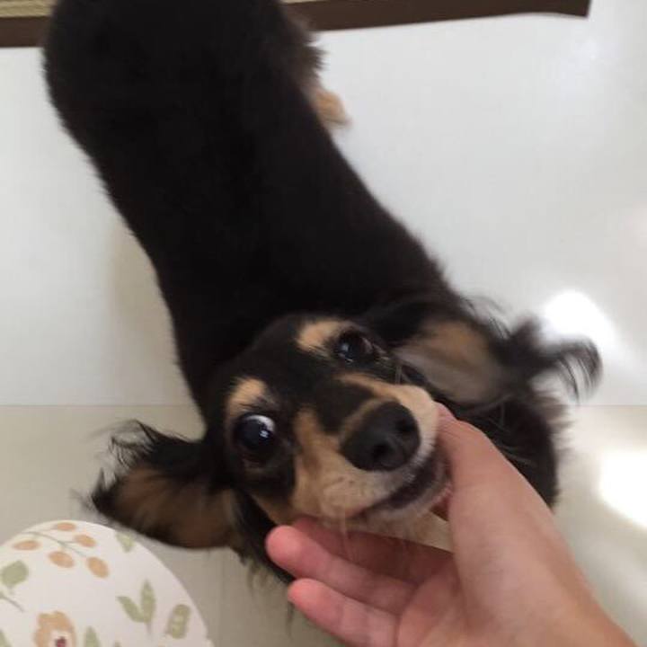 7ea0dfc1 ff96 4137 b4f0 65f482beac81