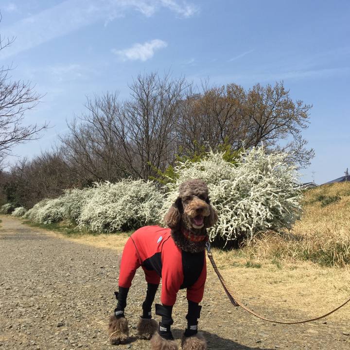 7ea107d3 7147 4271 9ede aa0cca6d5018