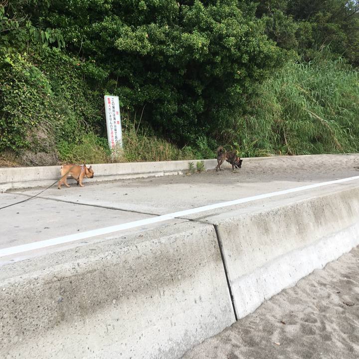 7ea12078 a1e7 4623 b0ed 5f6e9162947b