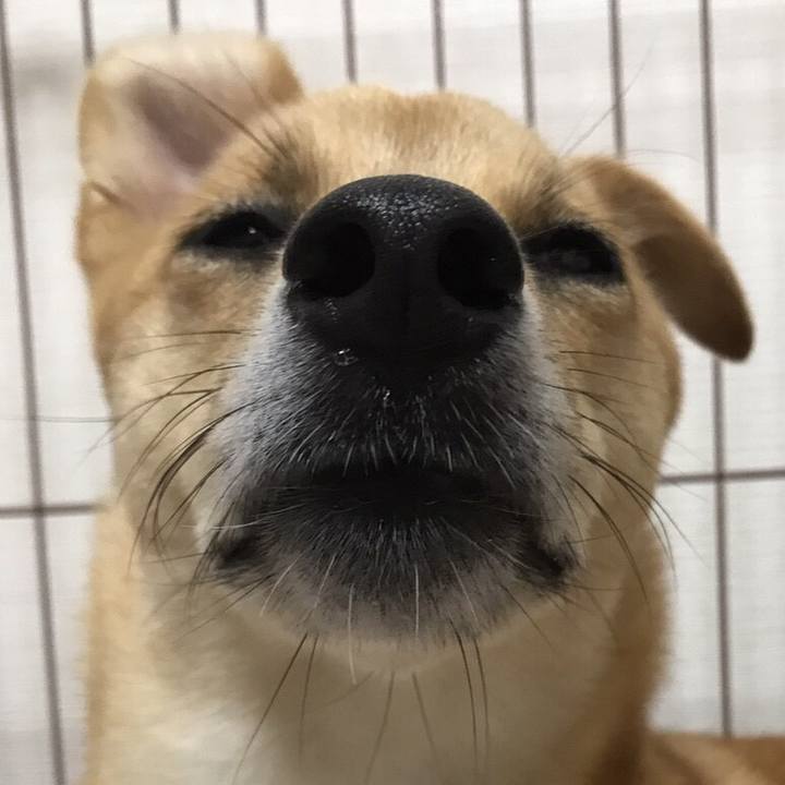 7ea143da 3b9e 4616 ac04 bebae0db9b1d