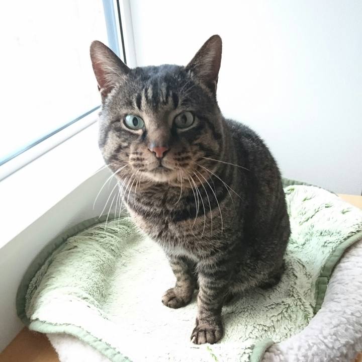 7ea1a680 5a5a 44aa b171 1eac37ec8c8c