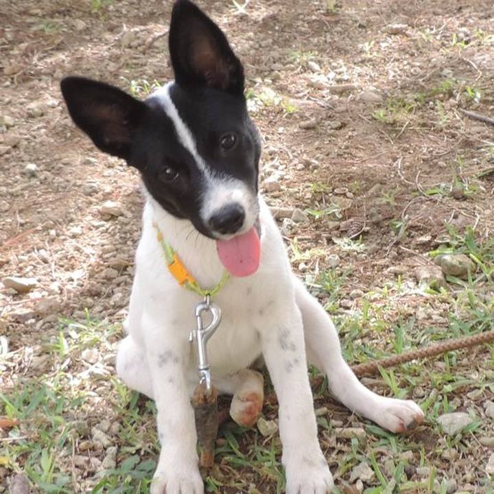 7ea1c594 01c4 479d 834e 8ac4822c076f