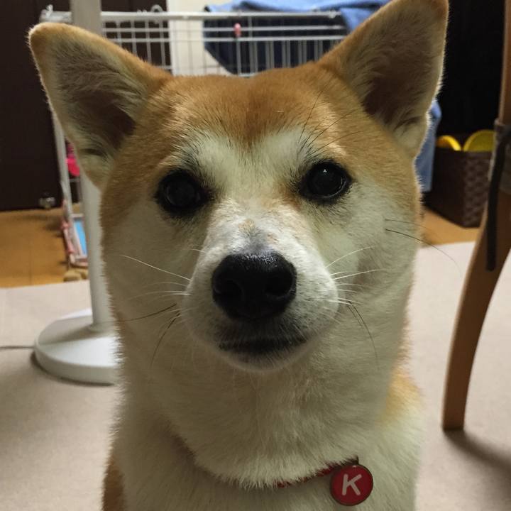 7ea1cc66 5fca 47f9 921d 4fbd3bc5fa4a