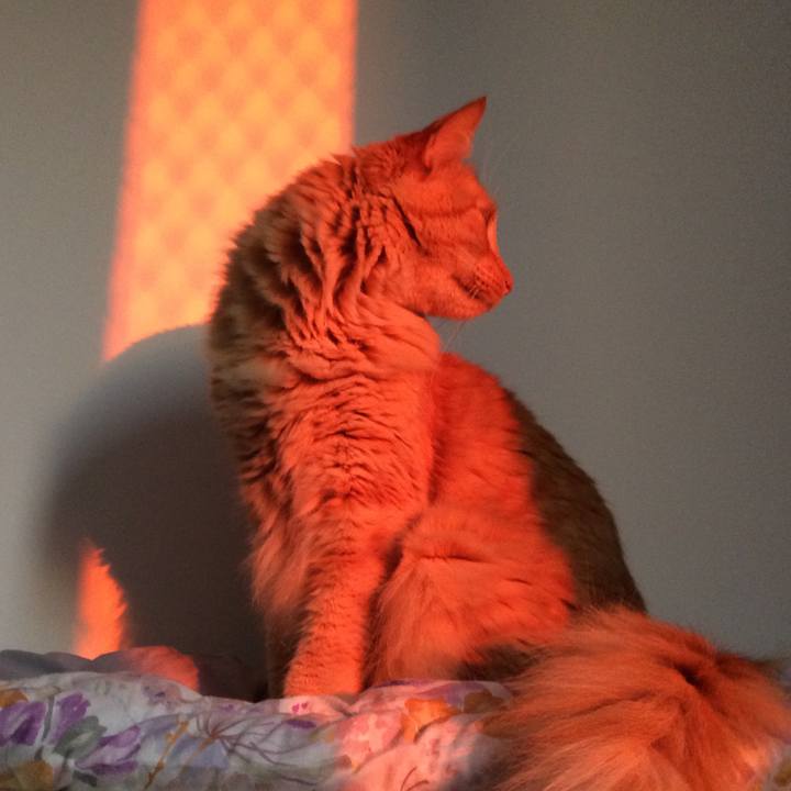 7ea22553 e431 4f85 b00f 7607e0e6ac95