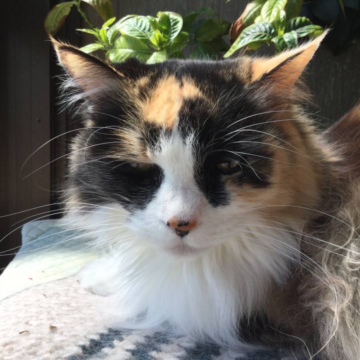 7ea2d406 5f63 4bdd a127 0eacb16f770b