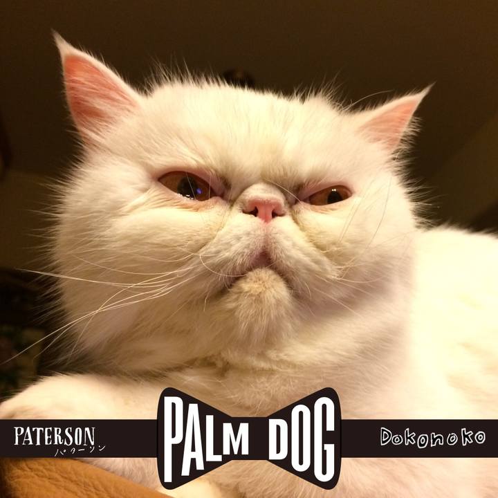 7ea31548 60da 47ed bc38 e91978609e54