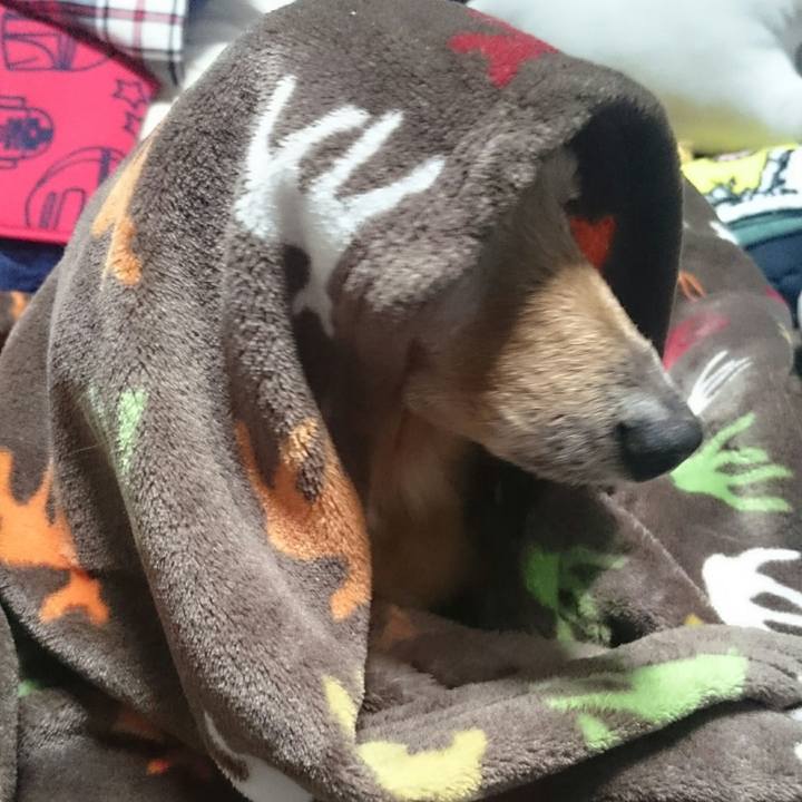 7ea3f068 7173 4deb bb09 72a77ad299d1