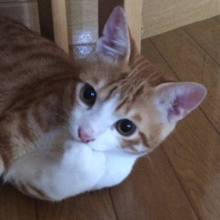 7ea417c7 54fd 43f6 a8eb 2d62ed71bdf9