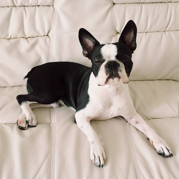 7ea4981c b5b5 46c3 a35b 5290166c5a76