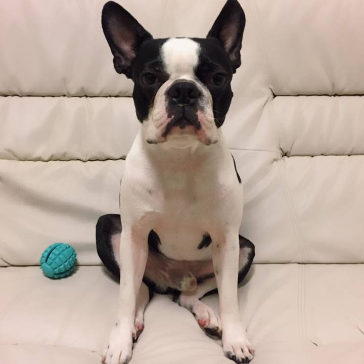 7ea53608 268a 4ae4 915e 502c503bd87f