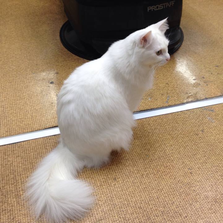 7ea54819 d7f3 4376 8df0 48de3b26b075