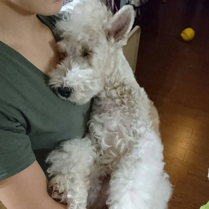 7ea56b5f cba5 4211 a6d6 cdb56f237cee