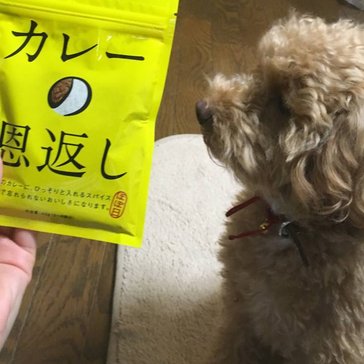 7ea5f585 903b 46f3 a122 00751cc91389