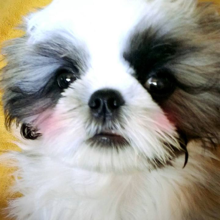 7ea625e7 a84d 4f9d 9385 c06437f5b4c1