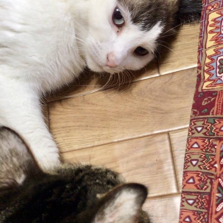 7ea65c99 bc81 4ace a17a 1f2c46d498e2