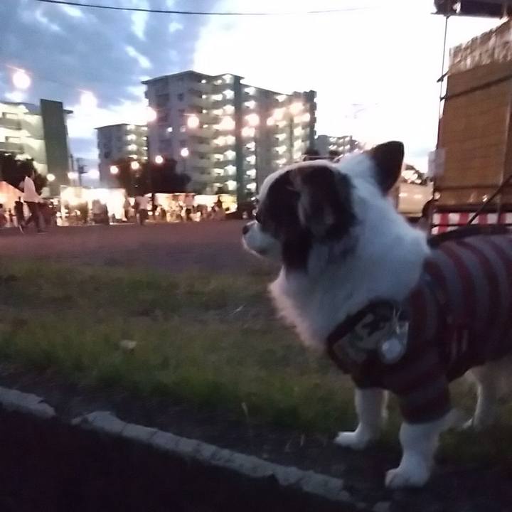 7ea66536 2ecc 4839 aff1 77d3ae389030