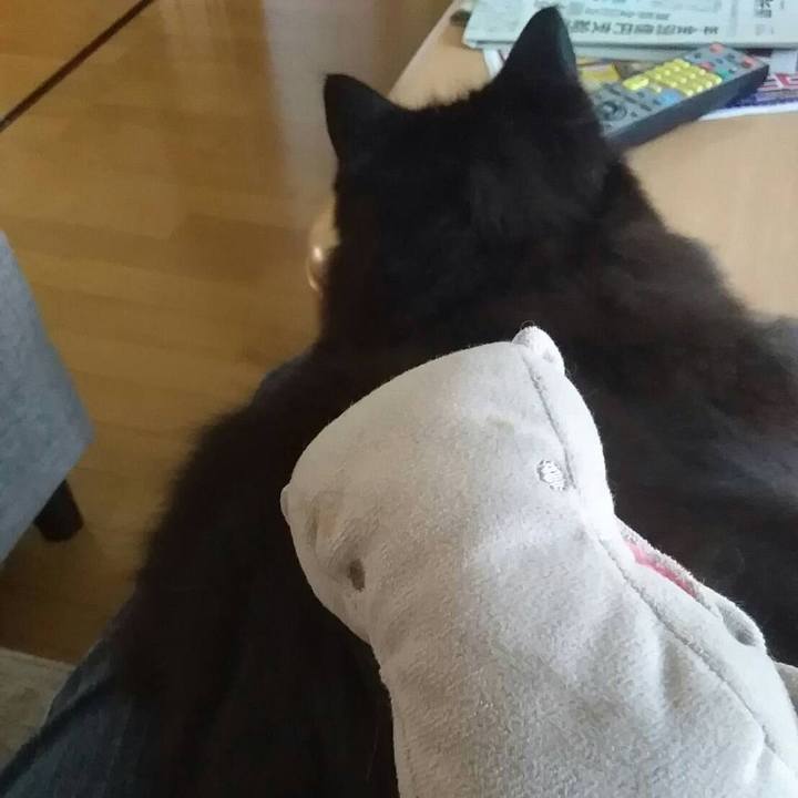 7ea677f1 f9ca 4174 a67b 1d42b8f866a4