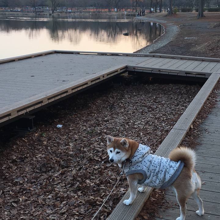 7ea7a73f c874 4cad b3c5 49820c9132ec