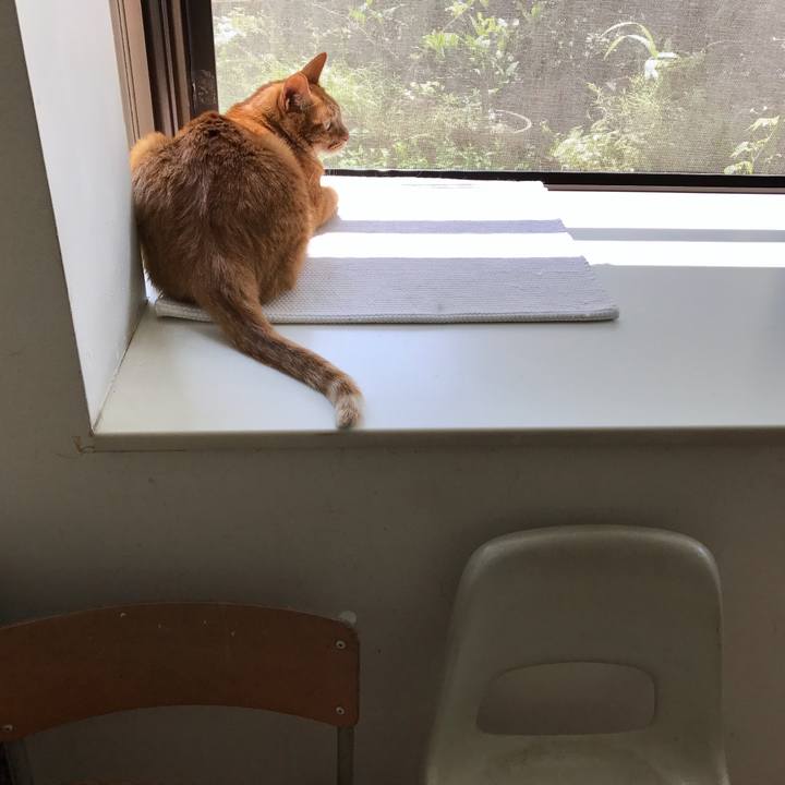 7ea88f18 7864 465d bbe6 a08040e6e512