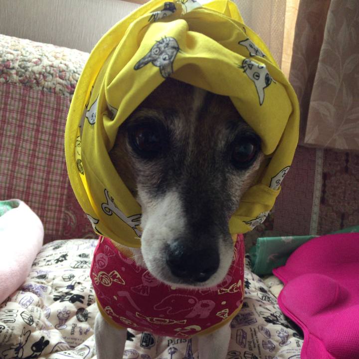 7ea9ec79 b1d1 41da ab2b 6a2826ed1a8d